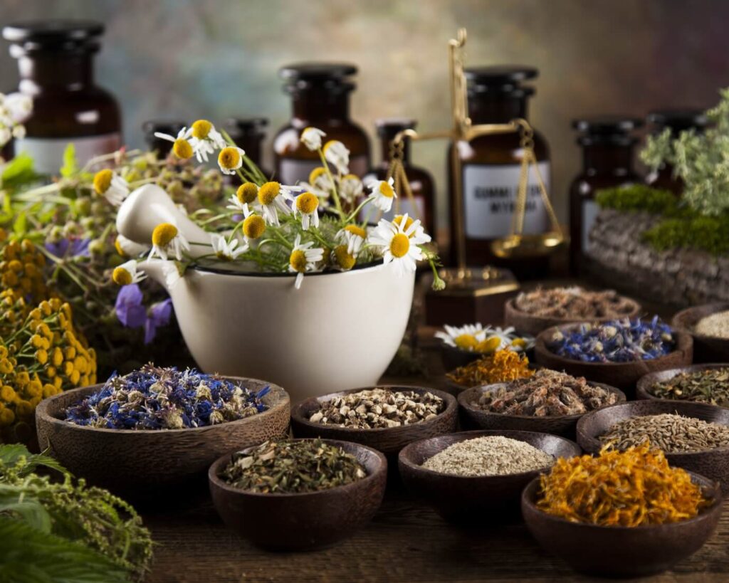 herbs for website