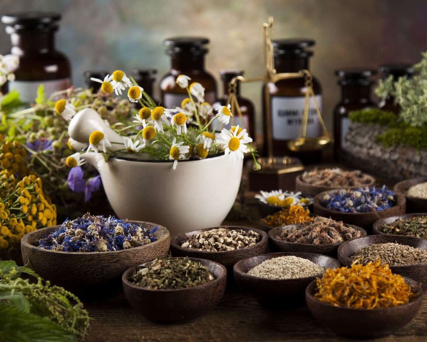 herbs for website